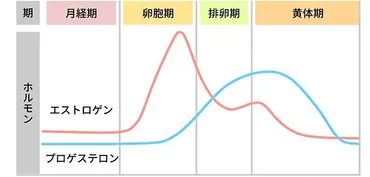 性欲が下がるのはなぜ？