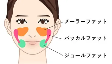 笑うと頬が盛り上がるのはなぜ？原因と対策を徹底解説笑うと頬が盛り上がる悩みとは！？