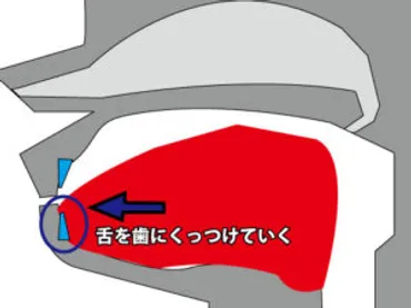 口笛の高い音の出し方（口笛の高音を出すコツ） 