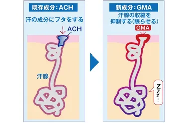 暑い夏、気になるワキ汗…「汗が出る部分を眠らせる新技術」を発見したマンダムの゛タフすぎる研究員たち゛