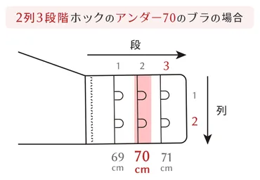 今さら聞けない！？ブラジャーの構造やパーツの名称とその機能