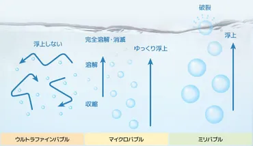 ナノバブルシャワーヘッドは本当に効果があるの？マイクロバブルとナノバブルの違いとは！？