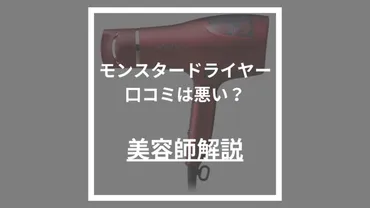 口コミは・すぐ壊れる？】コイズミモンスターダブルファンドライヤーを美容師が解説！使い方やデメリット紹介