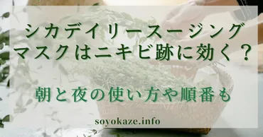 シカデイリースージングマスクはニキビ跡に効く？朝と夜の使い方や順番も 