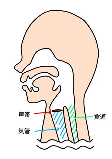 声が小さくてお悩みの方へ！原因と改善方法について