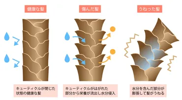 髪のパサつきは改善できる？ ダメージや乾燥の原因と正しいヘアケア方法がわかれば毛先までまとまるツヤ髪に 