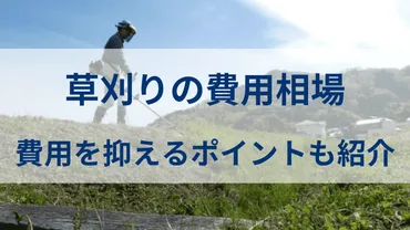 草刈りを業者に依頼すると費用相場はどのくらい？費用の決まり方や内訳、費用を抑えるポイントをご紹介