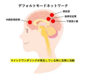 心のさまよい：マインドワンダリングの不思議な力 
