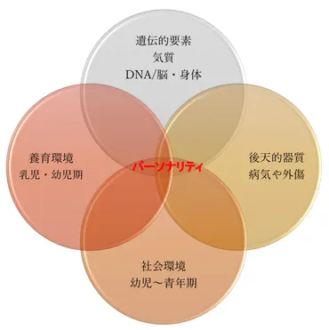 パーソナリティ障害の要因は発達過程・生育環境の関連が大