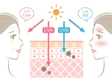日焼け後の皮むけってなんで？肌のターンオーバーと修復のメカニズムを解説日焼け後の皮むけって、実は細胞が頑張ってる証拠だったとは！？