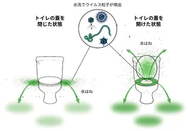 トイレの蓋は閉めて流す？ 最新の研究でようやく結論か（倉原優） 