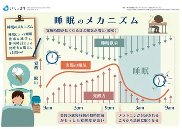 睡眠不足解消！睡眠メカニズムに基づく3つの快眠方法 – いしゃまち