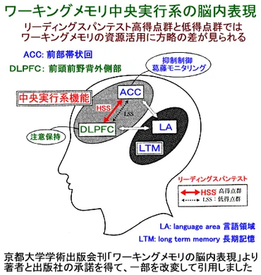 38. ワーキングメモリと注意の制御 