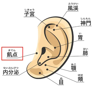 食欲コントロールができる9つの習慣！栄養専門家が徹底解説します！