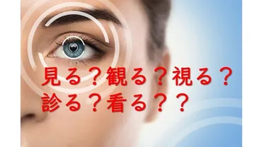 見る？観る？視る？診る？看る？？ 