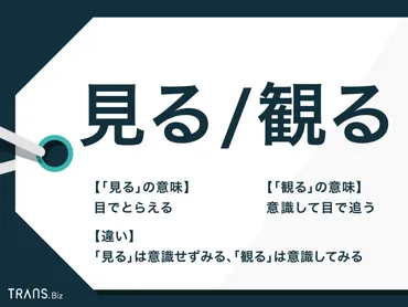 見る」と「観る」の違いとは？テレビや映画での使い方を解説 