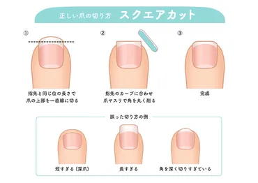 爪のただしい切り方を皮膚科専門医が解説。「スクエアオフカット ...