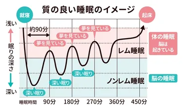 寝るだけで肌質改善!?睡眠の驚くべき美容効果! 