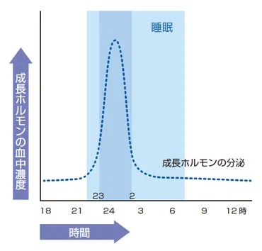 シンプルだけど最強の美容法「睡眠」その理由とは？