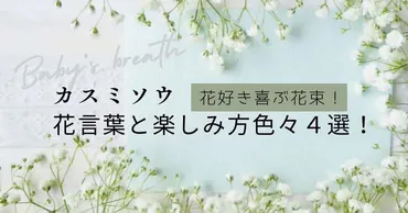 カスミソウってホントに可愛い！でも、花言葉ってどんな意味？カスミソウの花言葉とは！？