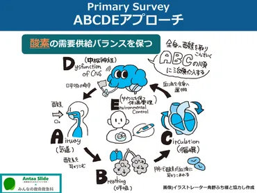 ショックのまとめ【定義・分類・鑑別を中心に】 