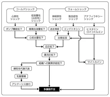 ショックについて – 医教コミュニティ つぼみクラブ