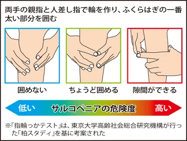 黄信号」ともさぬように～手前の「プレフレイル」で対策を（東京大学高齢社会総合研究機構 飯島勝矢教授・機構長）～