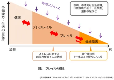 国立研究開発法人 国立長寿医療研究センター 在宅活動ガイド