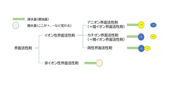 院長のひとりごと : シャンプーに含まれる界面活性剤について