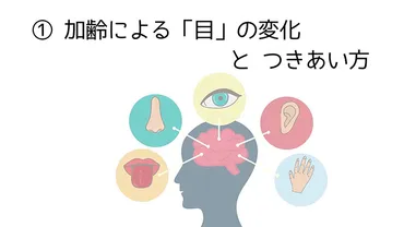 看護師が解説！高齢者の老化について①加齢による「目」の変化とつきあい方 