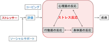 心理的ストレスと対処法／東京大学 保健センター