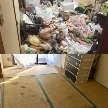 千葉県 ゴミ屋敷 片付け業者 10社徹底紹介！あなたに最適な業者は？ゴミ屋敷片付け業者選びのポイントとは！？