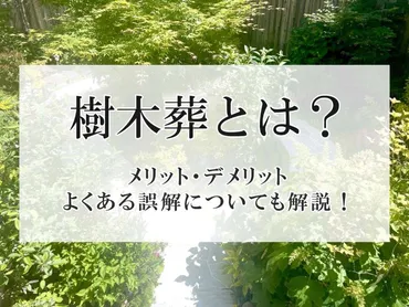 樹木葬とは？<br />メリット・デメリット、よくある誤解についても解説！