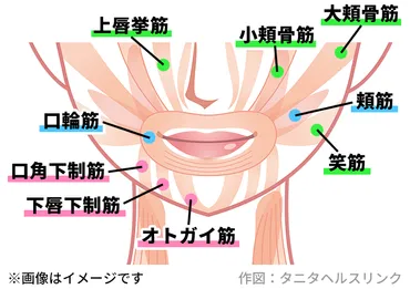 マスク生活で顔は老ける？表情筋トレーニングで若返り！マスク老けとは！？