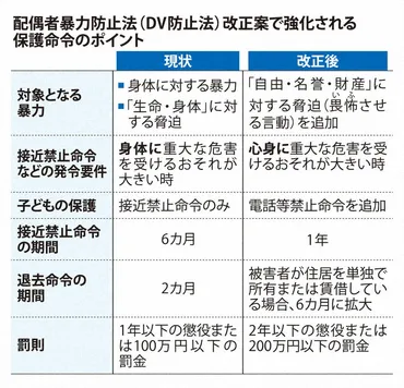 DV防止法改正、精神的暴力も対象に？保護命令制度強化とは!!?