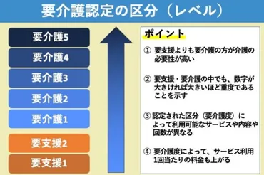 認知症の要介護認定とは？手順や介護保険サービスをかんたん解説 