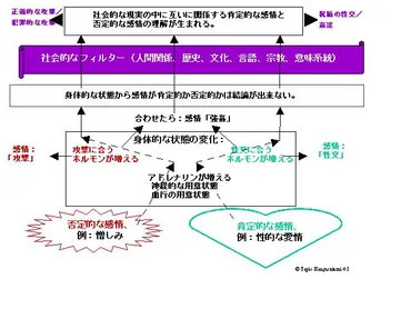 感情は私たちを動かす？～心のメカニズムを解き明かす～感情とは一体！？