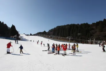 A Guide to Rokko Snow Park: Access, Restaurants and More