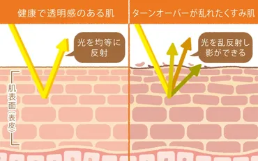 肌のくすみを取る方法は？【医師監修】画像でくすみ原因をチェック！改善のためのスキンケア・食べ物 