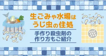 ウジ虫の駆除方法】どこから湧く？場所別・今すぐできる駆除のコツ 