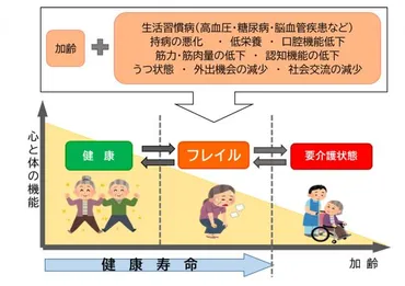 フレイル予防で健康寿命を延ばそう 