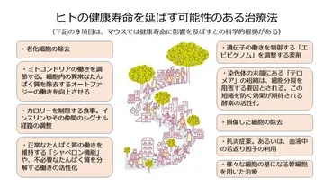 健康寿命を延ばす治療法 動物実験だけでなく、ヒトでも臨床研究が進む