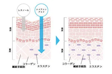 ナイアシンアミドとレチノール併用で相乗効果を！敏感肌でも使える組み合わせは？ 