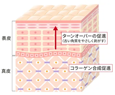 レチノールはどう使うのが正解？ 今更聞けない効果や副反応を徹底解説