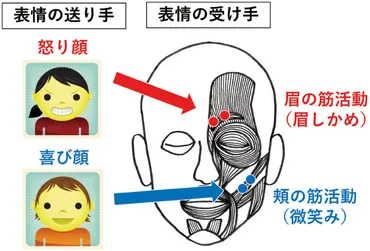 心理学ワールド 89号 顔 顔 