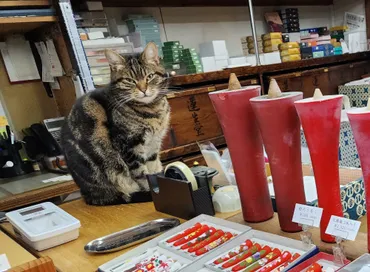 京都市下京区】おひがしさん門前で80年 天然素材の和ろうそく専門店の店主が語る七条通活性化への思い(HOTSUU)