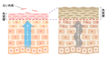 40代～50代は角質ケアがポイント！クレンジング選びや美肌習慣をご紹介 