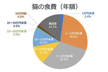 猫の生涯飼育費用はいくら？猫を飼うために必要な費用や医療費