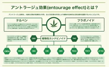 LAZYALLのベイプは、どんな人にオススメ？(デザインと安全性もチェック！)アントラージュ効果とは！？