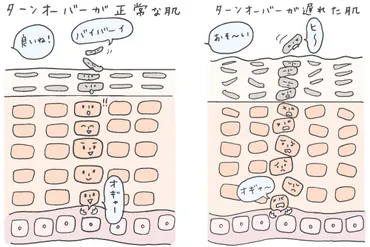 角質ケアって本当に必要？肌のターンオーバーと美肌の関係ターンオーバーの乱れとは！？